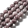 Natural Gemstone Beads Strands G-H067-A01-10MM-1
