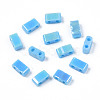 2-Hole Opaque Glass Seed Beads SEED-N004-002-B01-2