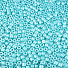 Baking Paint Pearlized Glass Seed Beads SEED-T008-03Q-3