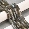 Natural Labradorite Beads Strands G-G068-A10-01-2