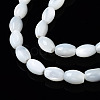 Natural Trochid Shell/Trochus Shell Beads Strands X-SSHEL-S266-021A-01-3