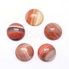 Natural Red Banded Agate Cabochons G-P393-R40-10MM-1