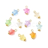 Transparent Acrylic Pendants PALLOY-JF01834-03-1