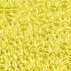 FGB Transparent Glass Seed Beads SEED-N013-01A-12-3