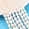 Natural Cultured Freshwater Pearl Beads Strands PEAR-D003-01D-06-1