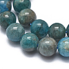 Natural Apatite Beads Strands G-I254-08A-01-3