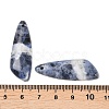 Natural Sodalite Pendants G-K381-28-3