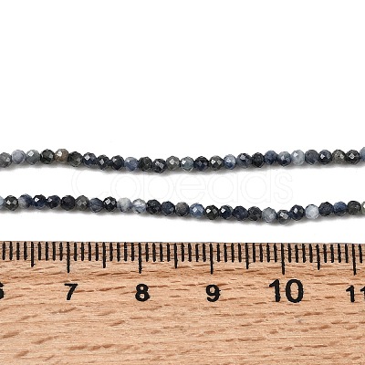 Natural Sapphire Beads Strands G-K366-C04-2mm-1