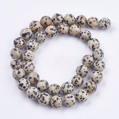 Natural Dalmatian Jasper Stone Bead Strands G-R193-14-10mm-1