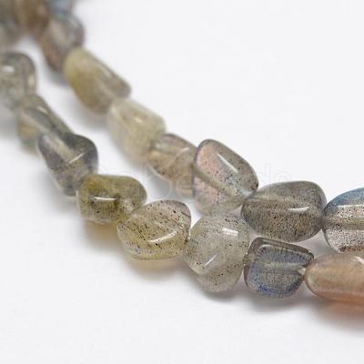 Natural Labradorite Beads Strands G-F521-42-1