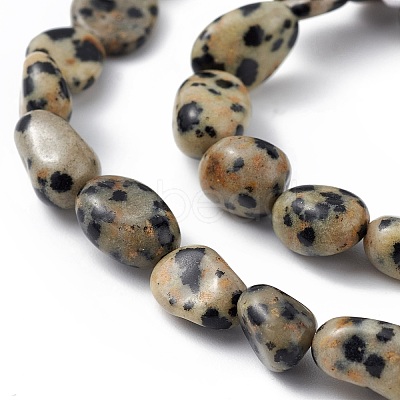 Natural Dalmatian Jasper Beads Strands G-B039-03A-1