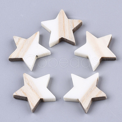 Resin & Wood Cabochons RESI-R425-02I-1