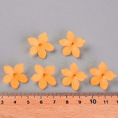 Frosted Acrylic Bead Caps X-MACR-S371-05A-719-1