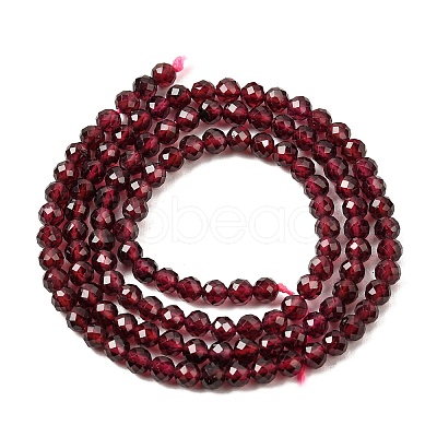Natural Garnet Beads Strands G-A129-3mm-05-1