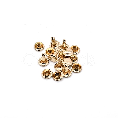 Brass Rivets PW-WG2BECC-19-1
