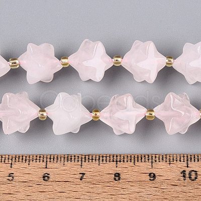 Natural Rose Quartz Beads Strands G-Q608-07A-02-1
