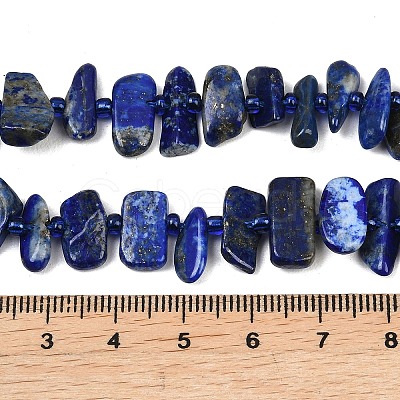 Natural Lapis Lazuli Beads Strands G-L657-E01-01-1