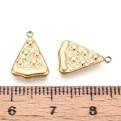 304 Stainless Steel Charms STAS-N109-255G-1