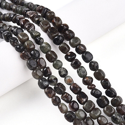 Natural Biotite Beads Strands G-N346-04A-02-1