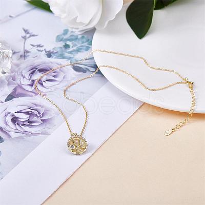 925 Sterling Silver 12 Constellation Necklace Gold Horoscope Zodiac Sign Necklace Round Astrology Pendant Necklace with Zircons Birthday Jewelry Gift for Women Men JN1089G-1