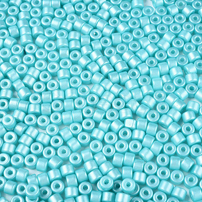 Baking Paint Pearlized Glass Seed Beads SEED-T008-03Q-1
