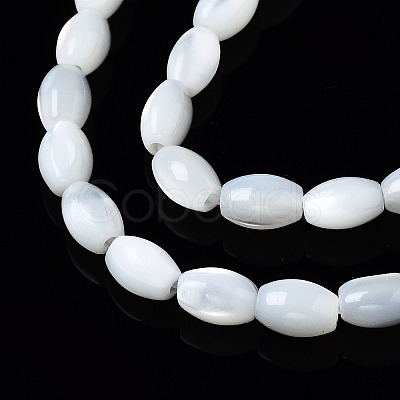 Natural Trochid Shell/Trochus Shell Beads Strands X-SSHEL-S266-021A-01-1