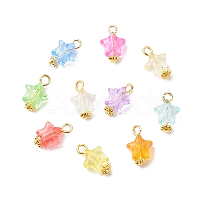 Transparent Acrylic Pendants PALLOY-JF01834-03-1