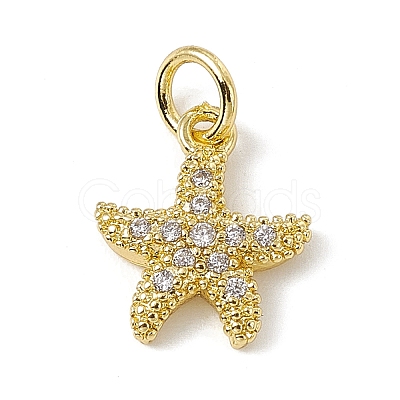 Brass Micro Pave Cubic Zirconia Charms ZIRC-F132-13G-1
