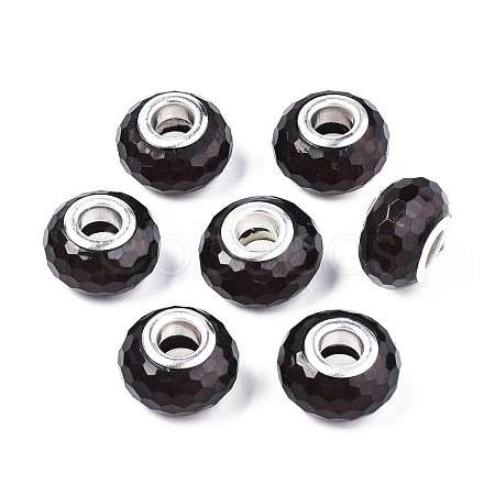 Resin European Beads RPDL-S009-06-1