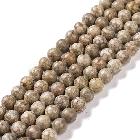 Natural Maifanite/Maifan Stone Beads Strands G-I187-10mm-01-1