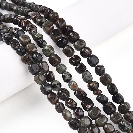 Natural Biotite Beads Strands G-N346-04A-02-1