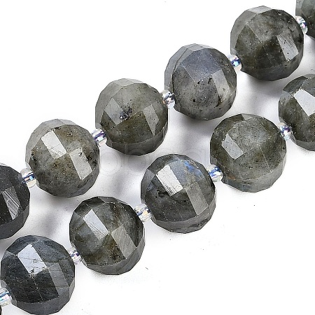 Natural Labradorite Beads Strands G-G182-B02-07-1
