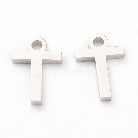 Non-Tarnish 304 Stainless Steel Charms STAS-G244-01T-1