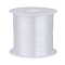 Nylon Wire, Clear, 0.3mm, about 87.48 yards(80m)/roll