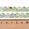 Natural Prehnite Beads Strands G-S345-10mm-28-5