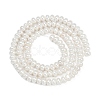 Electroplated Shell Pearl Beads Strands BSHE-Z009-11-3