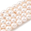 Natural Cultured Freshwater Pearl Beads Strands PEAR-I007-01F-08-2