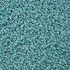 12/0 Grade A Round Glass Seed Beads SEED-N001-B-920-2