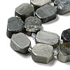 Natural Eagle Eye Stone Beads Strands G-G072-B01-01-4