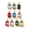304 Stainless Steel Pendants STAS-Q346-03G-1