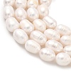 Natural Cultured Freshwater Pearl Beads Strands PEAR-D003-01D-12-4