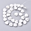 Synthetic Howlite Beads Strands G-G821-14A-2