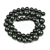 Electroplated Shell Pearl Graduated Beads Strands BSHE-C011-04-02-4