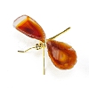 Dyed Natural Agate Slice Display Decorations DJEW-PW0009-004C-1