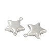 304 Stainless Steel Pendants STAS-S186-01B-P-2