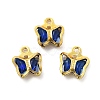 Glass Charms KK-R216-19G-02-1