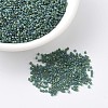 MIYUKI Delica Beads X-SEED-J020-DB0859-1
