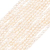 Natural Cultured Freshwater Pearl Beads Strands PEAR-D003-01D-02-2