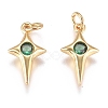 Brass Micro Pave Cubic Zirconia Charms ZIRC-G168-53G-02-1