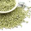 Electroplate Glass Seed Beads SEED-S042-01B-09-1